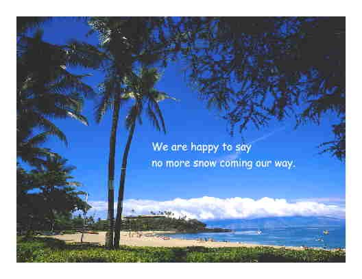 Palm Tree by Ocean Note Card
