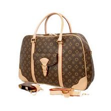 Travel Bag (Medium)