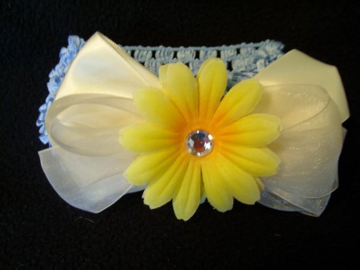 Yellow daisy
