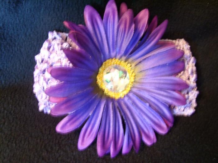 Purple Gerber Daisy