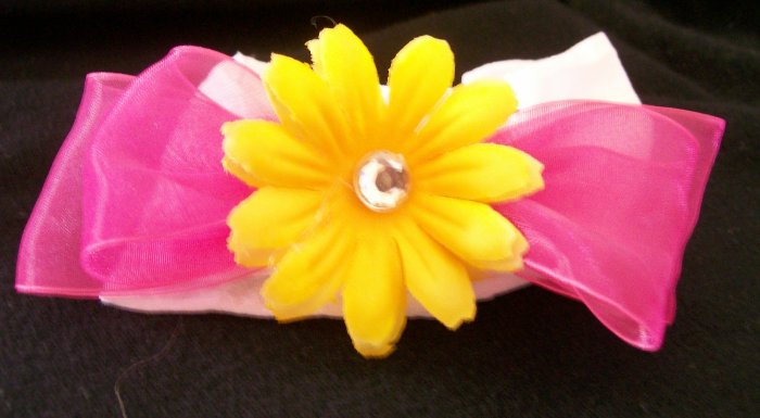 Bright Yellow Daisy