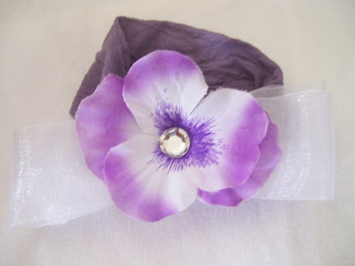 Purple Pansy