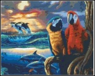 Fantasy Parrots for 9BP- 3 available
