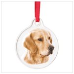 Best Friend Golden Retriever