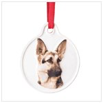 Best Friend German Shephard