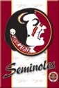 Florida State Ice Box Magnet #M1360
