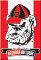 Georgia Bulldogs Ice Box Magnet #M1361