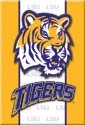 Tigers Ice Box Magnet #M1362