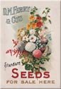 Ferry Flower Seeds Ice Box Magnet #M417