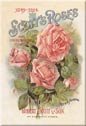Scotts Roses Ice Box Magnet #M575