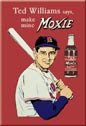 Ted Williams Baseball Ice Box Magnet #M60