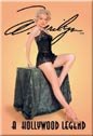 Marilyn Monroe Ice Box Magnet #M650