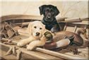 Lab Hunting Dogs Ice Box Magnet #M923