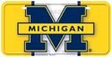 Michigan License Plate #31363