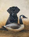 Lab Puppy Duck Hunting Dogs Tin Sign #926