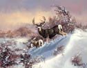Deer Hunting Tin Sign #1034