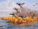 Ducks Unlimited Hunting Tin Sign #1037