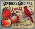 Kentucky Cardinal Apples Tin Sign #648