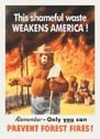 Smokey Bear Tin Sign #829