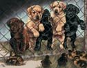 Jailbirds Puppy on Fence Tin Sign #913