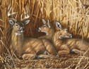 Deer Hunting Tin Sign #1039