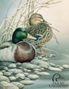 Ducks Unlimited Hunting Tin Sign #1040