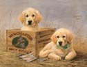 Puppy Duck Hunting Dogs Tin Sign #1201