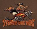 Sturgis Motorcycle Bike Tin Sign # 1399