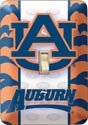 Auburn Light Switch Cover #LP1358