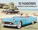 Thunderbird tin sign #581