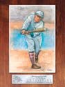 Ty Cobb tin sign #731