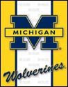 Michigan Wolverines tin sign #1363