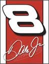 Dale Earnhardt Jr Nascar tin sign #1158