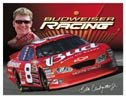 Dale Earnhardt Jr Nascar tin sign #1257