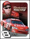 Dale Earnhardt Jr Nascar tin sign #1370