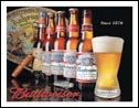 Budweiser Beer tin sign #1155