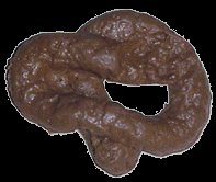 Fake Dog Poop ( Looks Real ) Novelty Gift