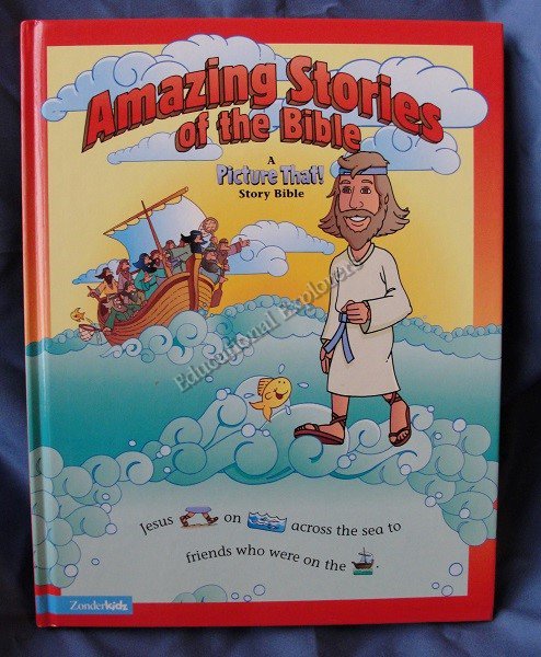 Amazing Stories of the Bible A Picture That! Bible Story Book