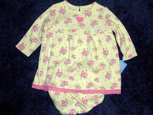 NWT Carter's floral dress 12 months