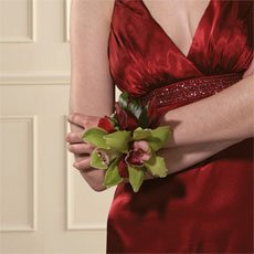 Orchid Corsage