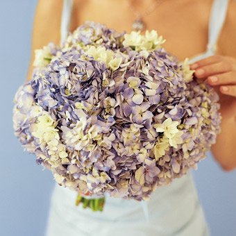 Hydrangea Bouquet