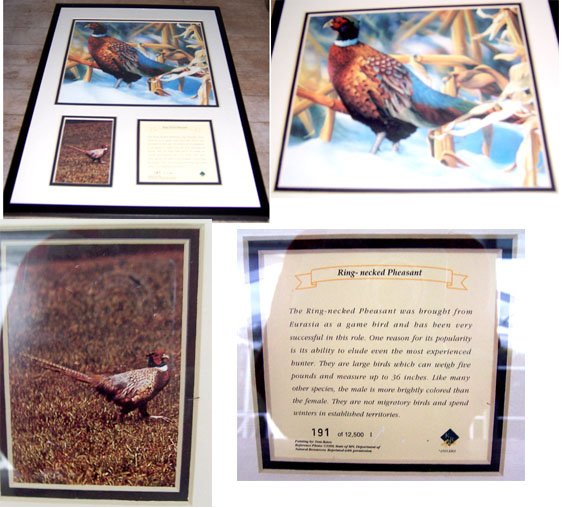 Tom Bates Numbered Painting Ring-Necked Pheasant Framed