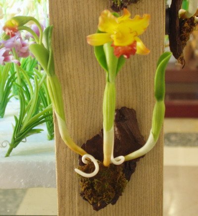 Clay flower CL0027