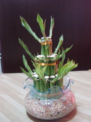 clay flower CL0013