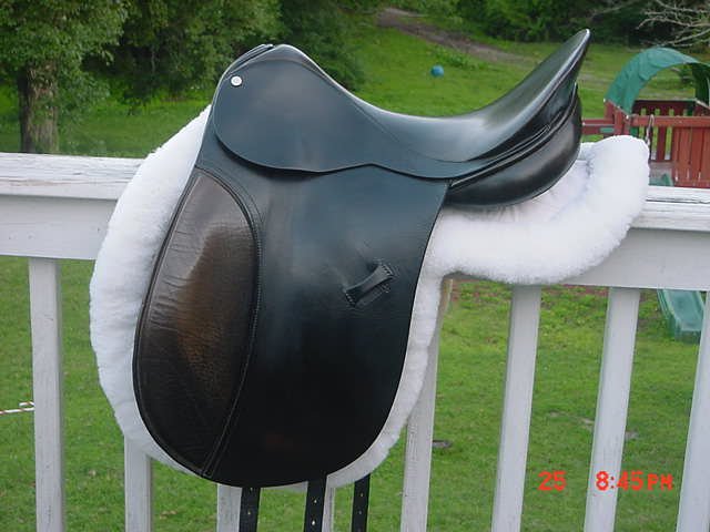 COUNTY WARMBLOOD DRESSAGE SADDLE