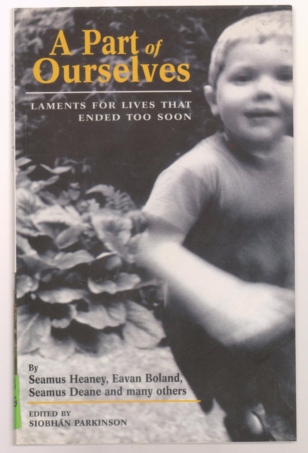 A Part of Ourselves: Lament for Lives That Ended Too Soon by Siobhan Parkinson