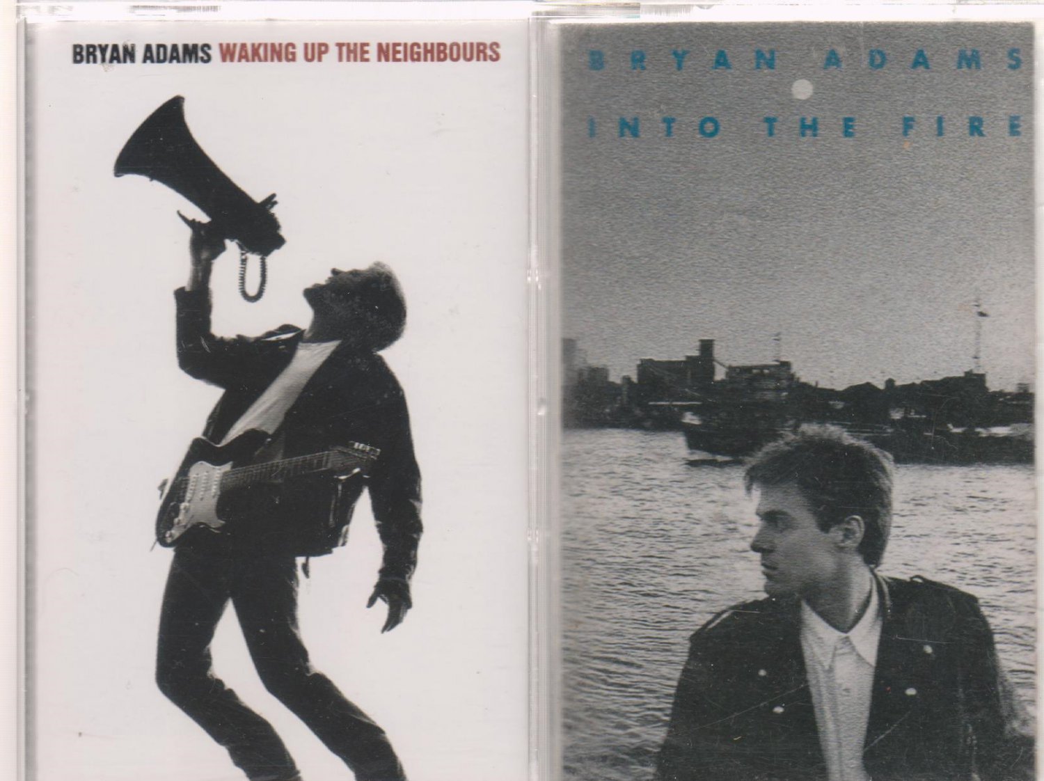 Bryan Adams Cassette Lot (1.99)