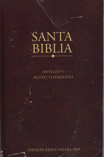 The Holy Bible in Spanish