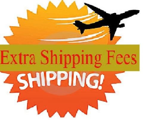 Extra Shipping Fee for fast express