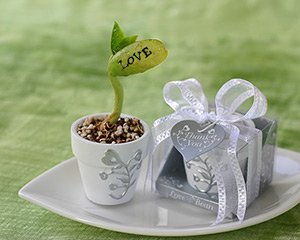 Love Grows On - Plantable Magic Bean in Handpainted Mini-Pot